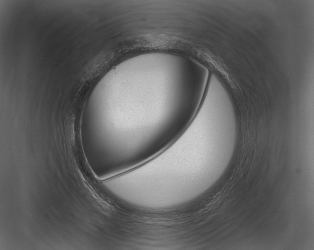 X0000084600685200702231036