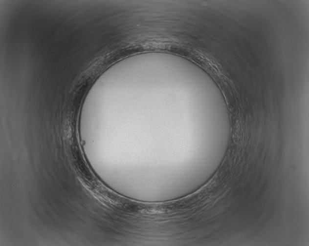 X0000084600687200702231036