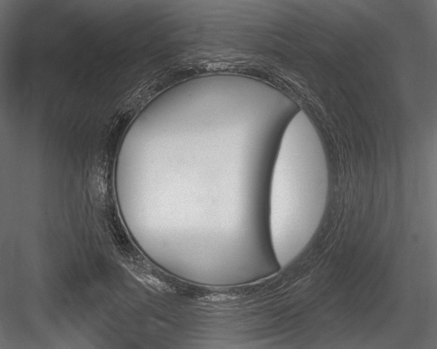 X0000084600691200702231036
