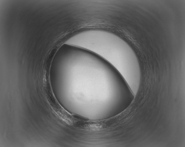 X0000084600692200702231036