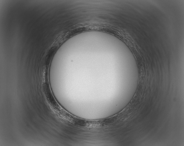 X0000084600694200702231036