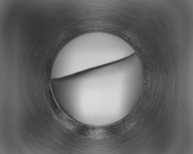 X0000084600695200702231036