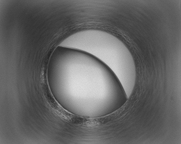 X0000084600696200702231036