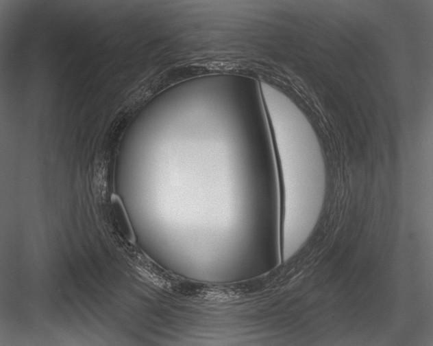 X0000084600697200702231036