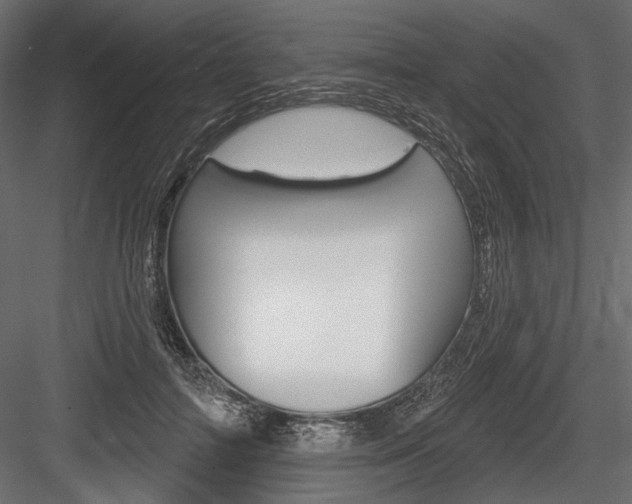 X0000084600698200702231036