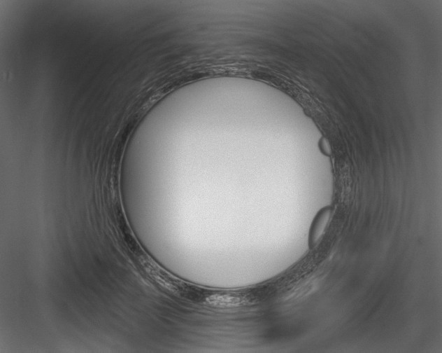 X0000084600699200702231036