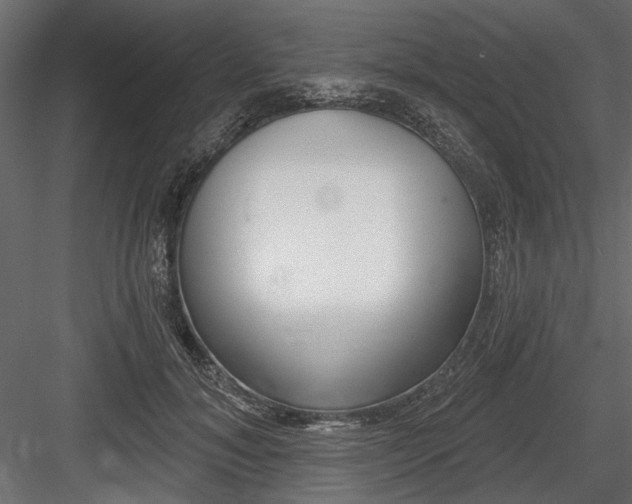 X0000084600700200702231036
