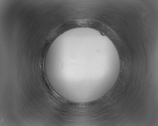 X0000084600702200702231036