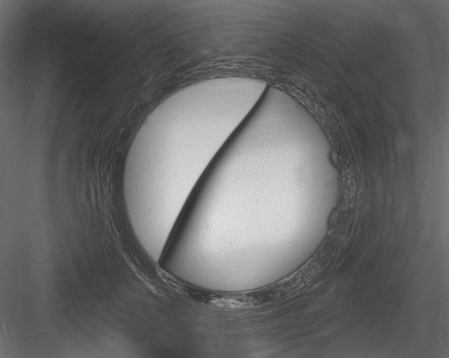 X0000084600703200702231036
