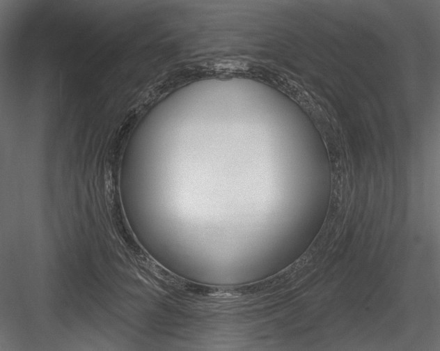 X0000084600704200702231036