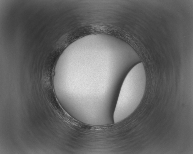 X0000084600706200702231036