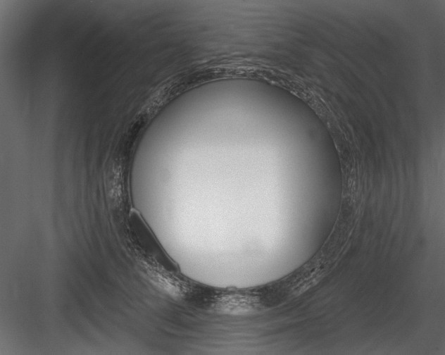 X0000084600708200702231036