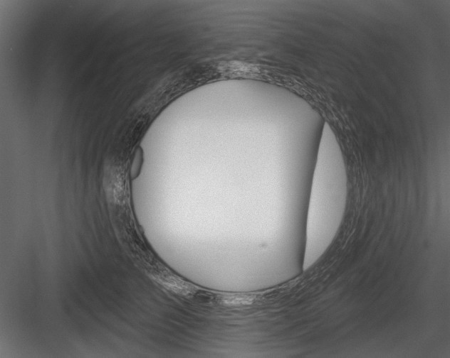 X0000084600709200702231036
