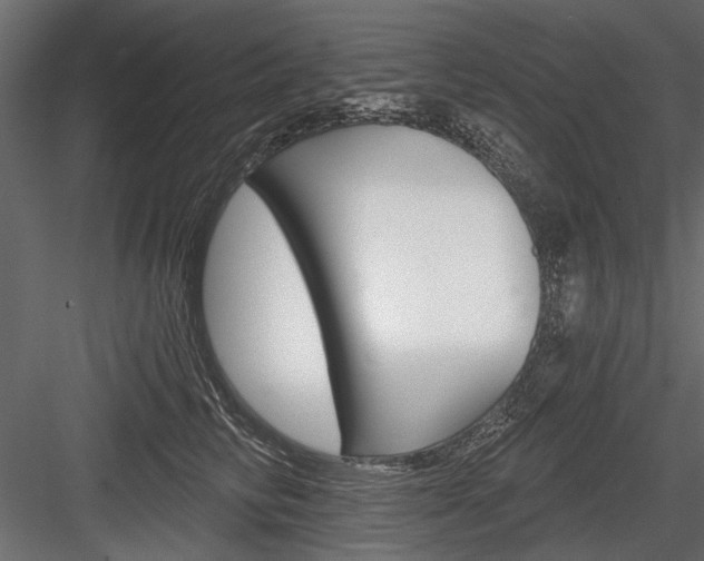 X0000084600710200702231036