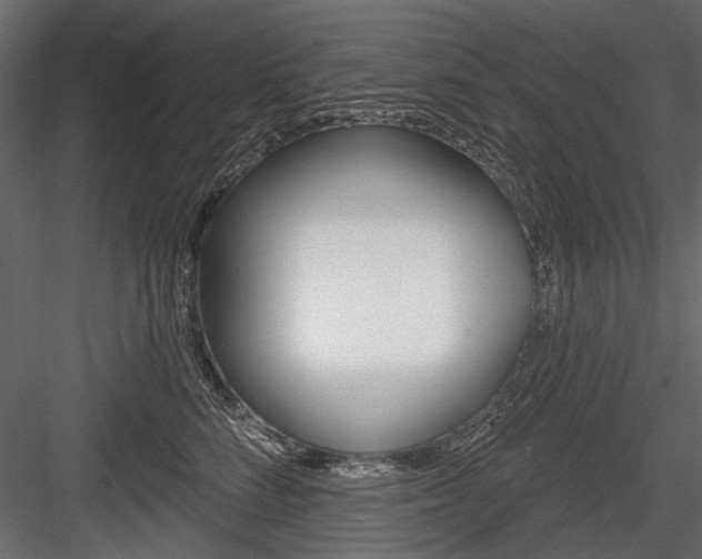 X0000084600712200702231036
