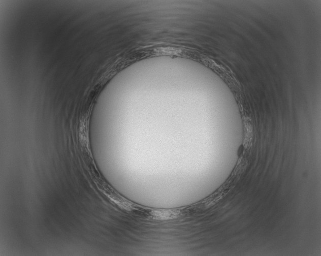 X0000084600713200702231036