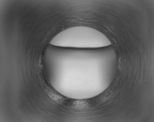 X0000084600714200702231036