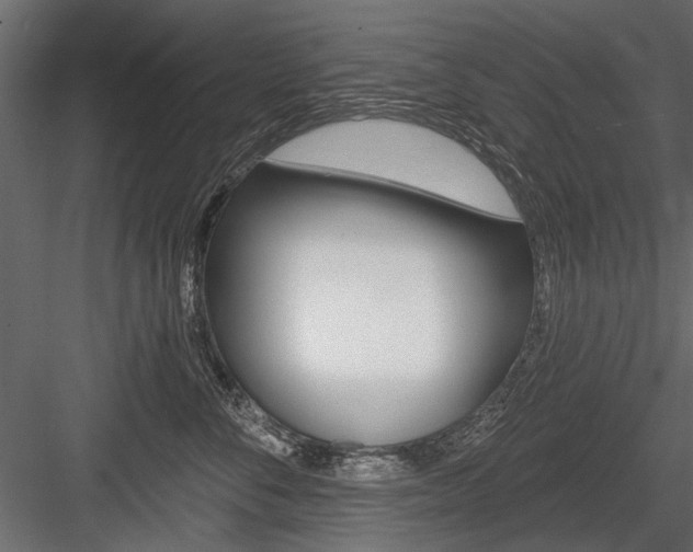 X0000084600716200702231036