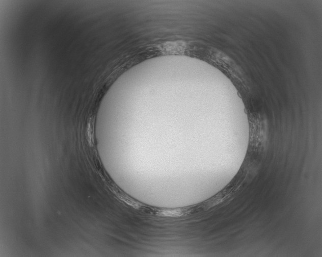 X0000084600717200702231036
