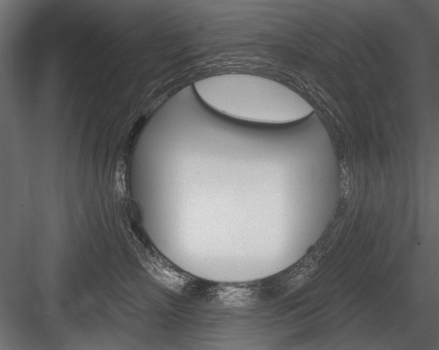 X0000084600718200702231036