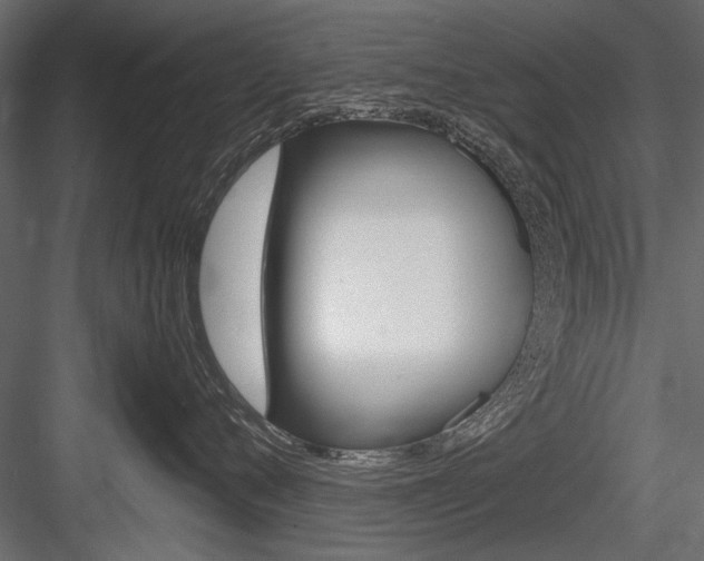 X0000084600720200702231036