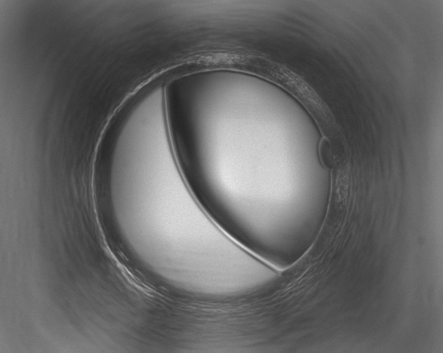 X0000084600722200702231035