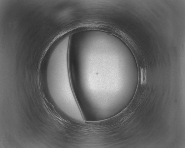 X0000084600723200702231035