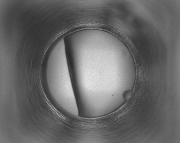 X0000084600725200702231035