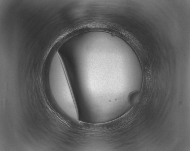 X0000084600727200702231035
