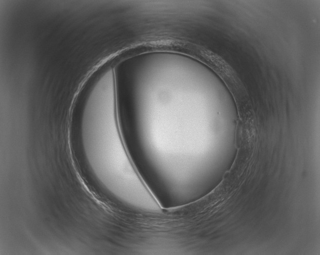 X0000084600728200702231035