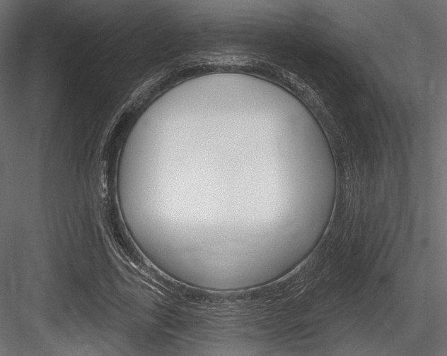 X0000084600731200702231035