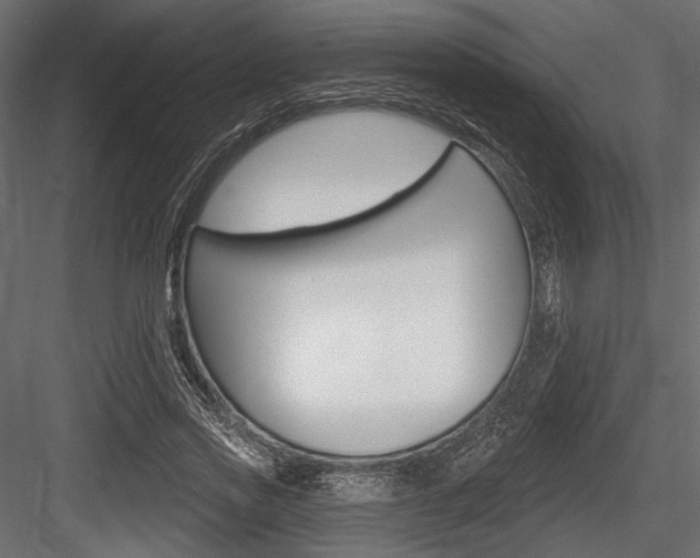 X0000084600733200702231035