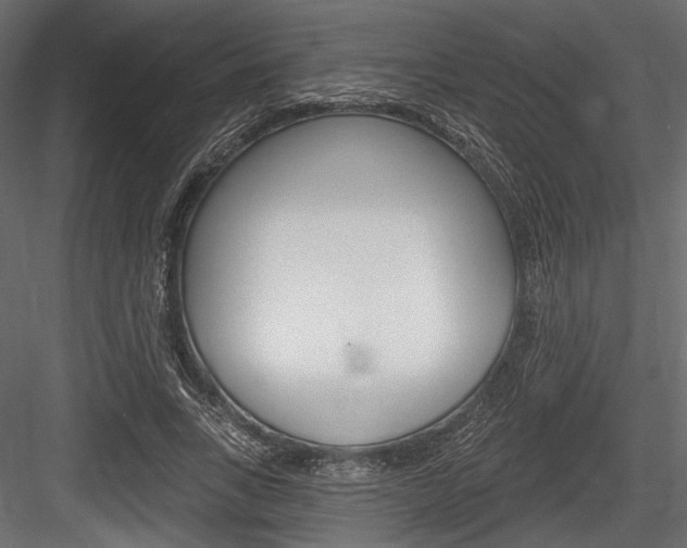 X0000084600735200702231035