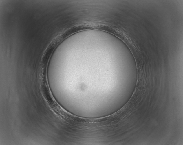 X0000084600736200702231035
