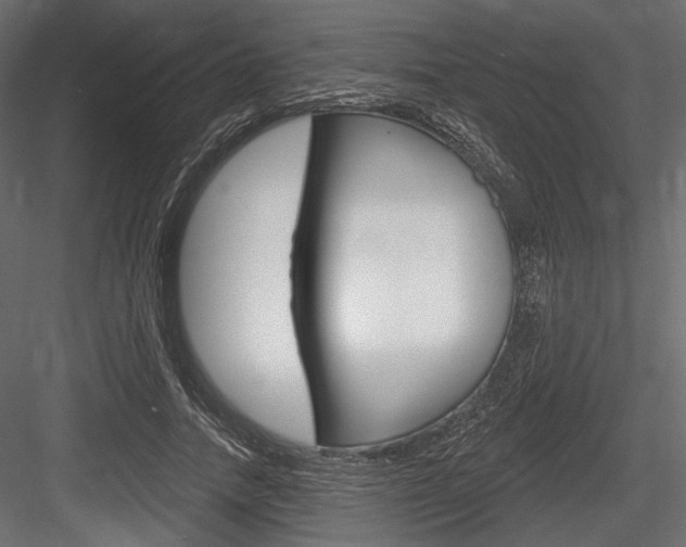 X0000084600738200702231035