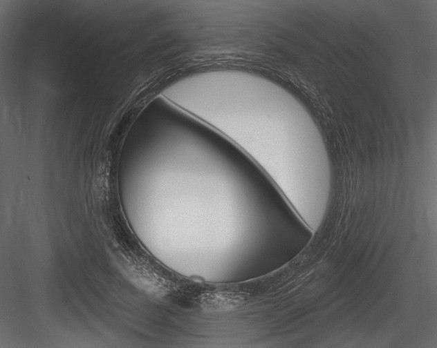 X0000084600739200702231035