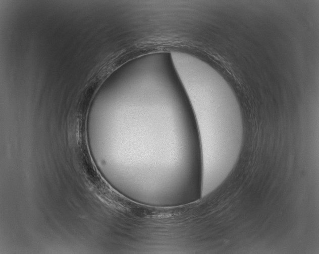 X0000084600740200702231035