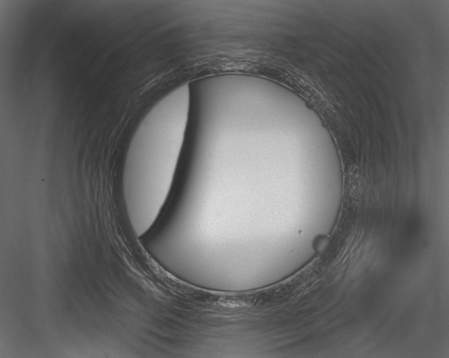 X0000084600741200702231035