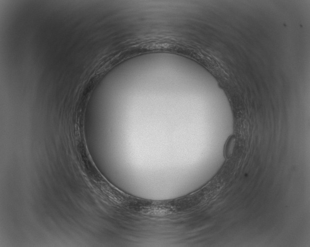 X0000084600743200702231035