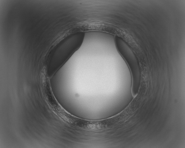 X0000084600744200702231035