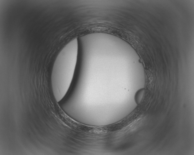X0000084600745200702231035