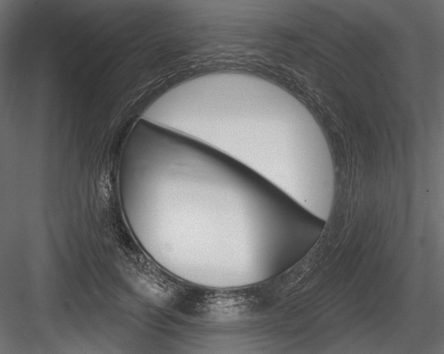 X0000084600746200702231035