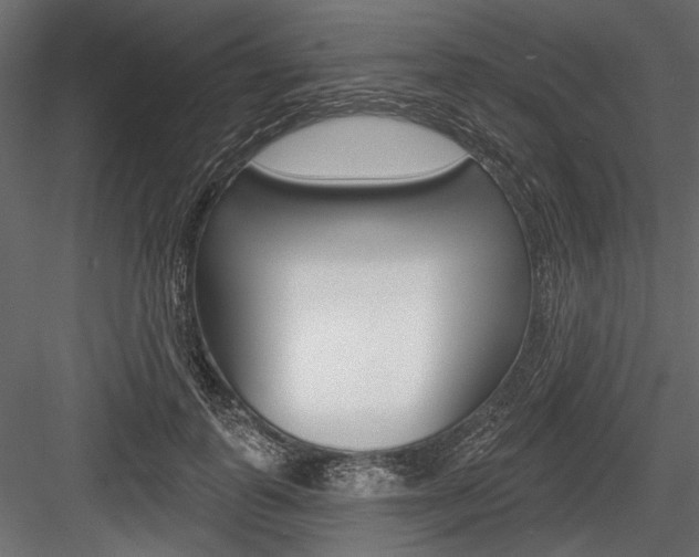 X0000084600747200702231035