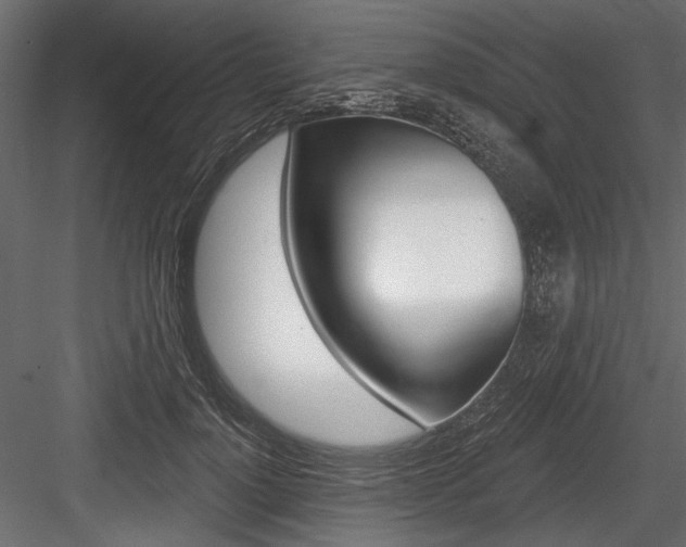 X0000084600748200702231036