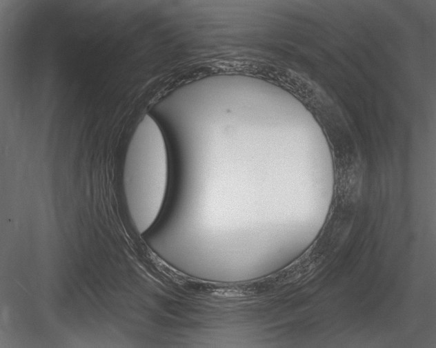 X0000084600749200702231036