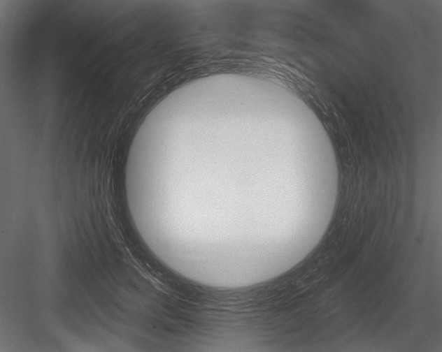 X0000084600750200702231036