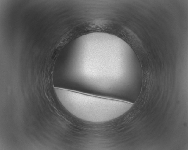 X0000084600751200702231036