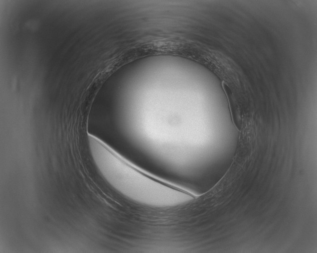 X0000084600752200702231036