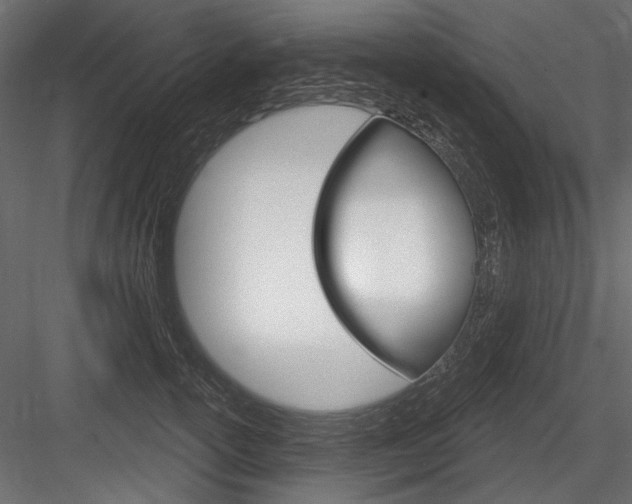 X0000084600754200702231036