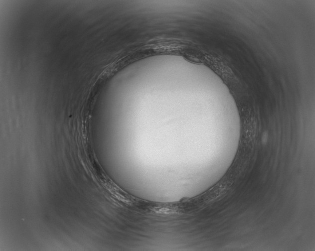 X0000084600755200702231036